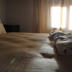 Silenos Boutique Hotel комната для гостей фото 2