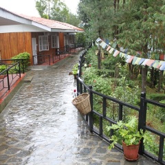 Отель Nagarkot Cottage- Nagarkot Непал, Нагаркот - отзывы, цены и фото номеров - забронировать отель Nagarkot Cottage- Nagarkot онлайн