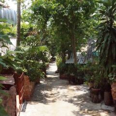Отель Pine Bungalow фото 20