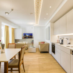 Отель Vienna Grand Apartments DANUBE Австрия, Вена - отзывы, цены и фото номеров - забронировать отель Vienna Grand Apartments DANUBE онлайн в номере фото 2