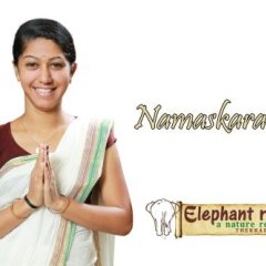 Hotel Elephant Route in Ramakkalmedu, India from 84$, photos, reviews - zenhotels.com photo 6