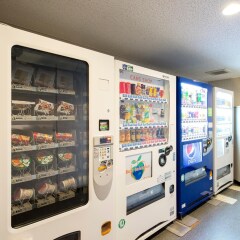 Отель Villa Fontaine Tokyo-Tamachi Япония, Токио - 1 отзыв об отеле, цены и фото номеров - забронировать отель Villa Fontaine Tokyo-Tamachi онлайн интерьер отеля фото 3