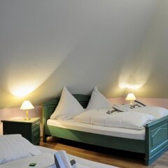 Отель Elbterrasse Wachwitz Германия, Дрезден - отзывы, цены и фото номеров - забронировать отель Elbterrasse Wachwitz онлайн детские мероприятия