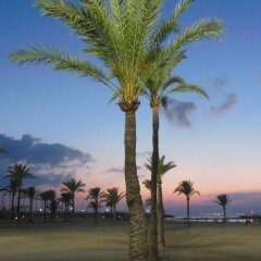Отель Elegance Playa Arenal III спортивное сооружение