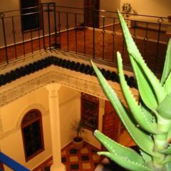 Отель Riad Dar Soufa Марокко, Рабат - отзывы, цены и фото номеров - забронировать отель Riad Dar Soufa онлайн фото 6