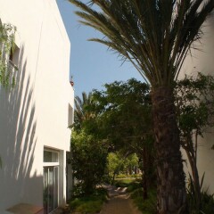 Hotel Cala d'Or Gardens фото 3