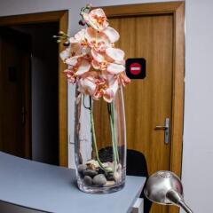 Отель Cool and Chic Hostel Испания, Оспиталет-де-Льобрегат - отзывы, цены и фото номеров - забронировать отель Cool and Chic Hostel онлайн фото 2