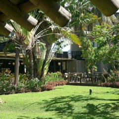Отель Mercure Nadi фото 5
