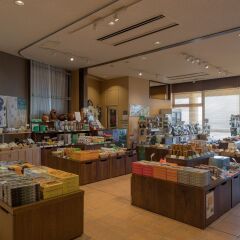 Jr Hotel Yakushima Якусима развлечения