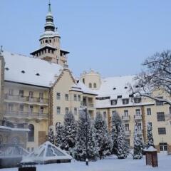 Отель Hunguest Hotel Palota Венгрия, Силвашварад - 1 отзыв об отеле, цены и фото номеров - забронировать отель Hunguest Hotel Palota онлайн фото 2