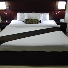 De Santos Hotel комната для гостей фото 5