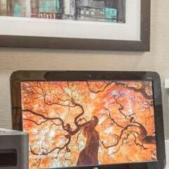Отель Best Western Gastonia сейф в номере
