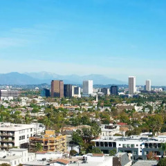 Отель Beverly Hills Marriott США, Лос-Анджелес - отзывы, цены и фото номеров - забронировать отель Beverly Hills Marriott онлайн фото 7