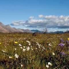 Отель Bartholomeus Klip Farmhouse фото 8