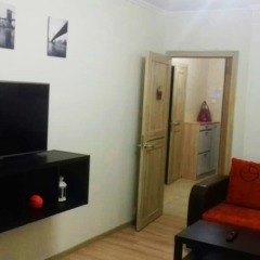 Апартаменты Apartment Hanaka on Kluchevaya 20 комната для гостей фото 3