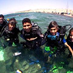 Отель Arab Divers