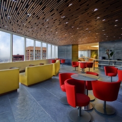 Отель Hilton Mexico City Reforma детские мероприятия