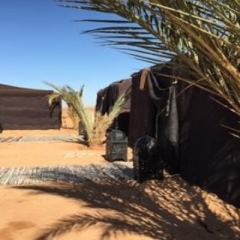 Отель Kam Kam Dunes Марокко, Мерзуга - отзывы, цены и фото номеров - забронировать отель Kam Kam Dunes онлайн фото 7