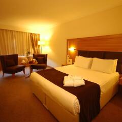 Surmeli Ankara Hotel комната для гостей фото 2