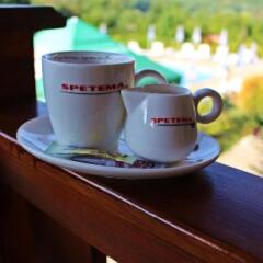 Family Hotel Krisbo Арбанаси в номере фото 2