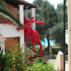 Отель Mr & Mrs White Corfu Греция, Корфу - отзывы, цены и фото номеров - забронировать отель Mr & Mrs White Corfu онлайн