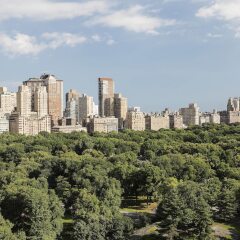 Отель Ritz-Carlton New York Central Park США, Нью-Йорк - отзывы, цены и фото номеров - забронировать отель Ritz-Carlton New York Central Park онлайн фото 5