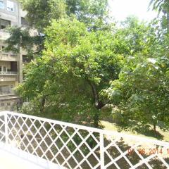 Отель Asja Apartment Сербия, Белград - отзывы, цены и фото номеров - забронировать отель Asja Apartment онлайн фото 2