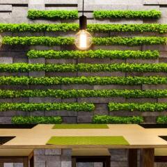 Neat Hotel Avenida Понта-Делгада
