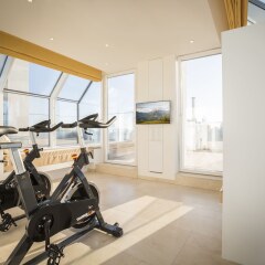 Отель Vienna Grand Apartments DANUBE Австрия, Вена - отзывы, цены и фото номеров - забронировать отель Vienna Grand Apartments DANUBE онлайн фитнесс-зал фото 4