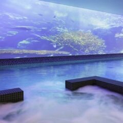 Отель Novotel London Blackfriars с домашними животными