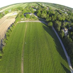 Отель Auberge la Grange de l'Île Канада, Орлеан - отзывы, цены и фото номеров - забронировать отель Auberge la Grange de l'Île онлайн спортивное сооружение