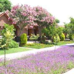 Can Garden Beach Турция, Сиде - отзывы, цены и фото номеров - забронировать отель Can Garden Beach онлайн фото 8
