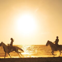 Отель Secrets Royal Beach Punta Cana фитнесс-зал фото 3