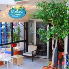 Отель Mimosa Pension Каш детские мероприятия фото 2