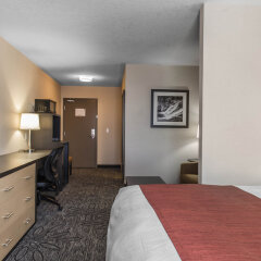 Отель Quality Inn & Suites Канада, Кингстон - отзывы, цены и фото номеров - забронировать отель Quality Inn & Suites онлайн удобства в номере фото 2