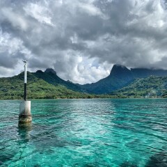 Отель Moorea Surf Bed and Breakfast Французская Полинезия, Муреа - отзывы, цены и фото номеров - забронировать отель Moorea Surf Bed and Breakfast онлайн приотельная территория фото 2