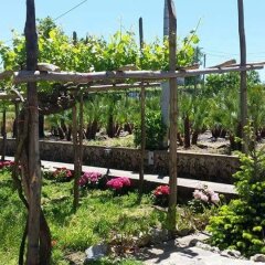 Отель Villa Elisa Аджерола фото 7