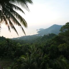 Отель Greenery Resort Koh Tao фото 8