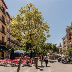 Апартаменты Cozy Apartment Plaza Mayor Мадрид