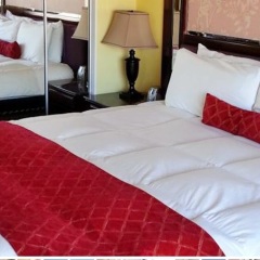 Отель Rotex Hotel США, Лос-Анджелес - отзывы, цены и фото номеров - забронировать отель Rotex Hotel онлайн фото 6