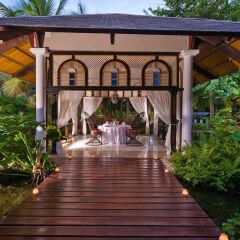 Отель Meliá Punta Cana Beach Resort - Adults Only All Inclusive фото 5