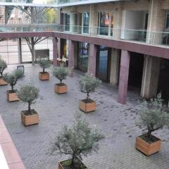 Отель Mosaic City Centre Нидерланды, Амстердам - отзывы, цены и фото номеров - забронировать отель Mosaic City Centre онлайн фото 2
