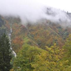 Ayder Hasimoglu Hotel Чамлыхемшин фото 11