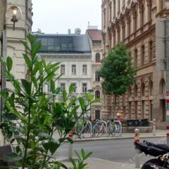 Отель Time Out City Hotel Vienna Австрия, Вена - 1 отзыв об отеле, цены и фото номеров - забронировать отель Time Out City Hotel Vienna онлайн