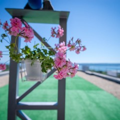 Отель Park Hotel ex. Best Western Park Hotel Болгария, Варна - отзывы, цены и фото номеров - забронировать отель Park Hotel ex. Best Western Park Hotel онлайн пляж фото 2