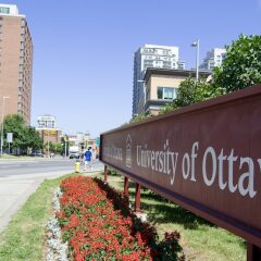 Отель Les Suites Hotel Канада, Оттава - отзывы, цены и фото номеров - забронировать отель Les Suites Hotel онлайн городской автобус