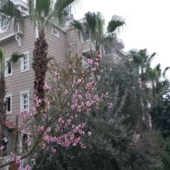 Boutique Nergiz Hotel Сиде фото 3
