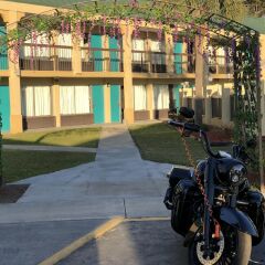 Отель Econo Lodge Inn & Suites Hardeeville I-95 Хардивилль фото 6