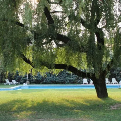 Отель Blue Dream Hotel Италия, Монселиче - отзывы, цены и фото номеров - забронировать отель Blue Dream Hotel онлайн приотельная территория
