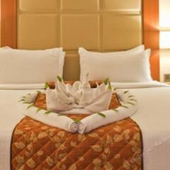 Отель Cambay Grand в номере